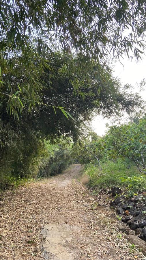 Lermitage Farms Kashid Alibaug Villa Dış mekan fotoğraf